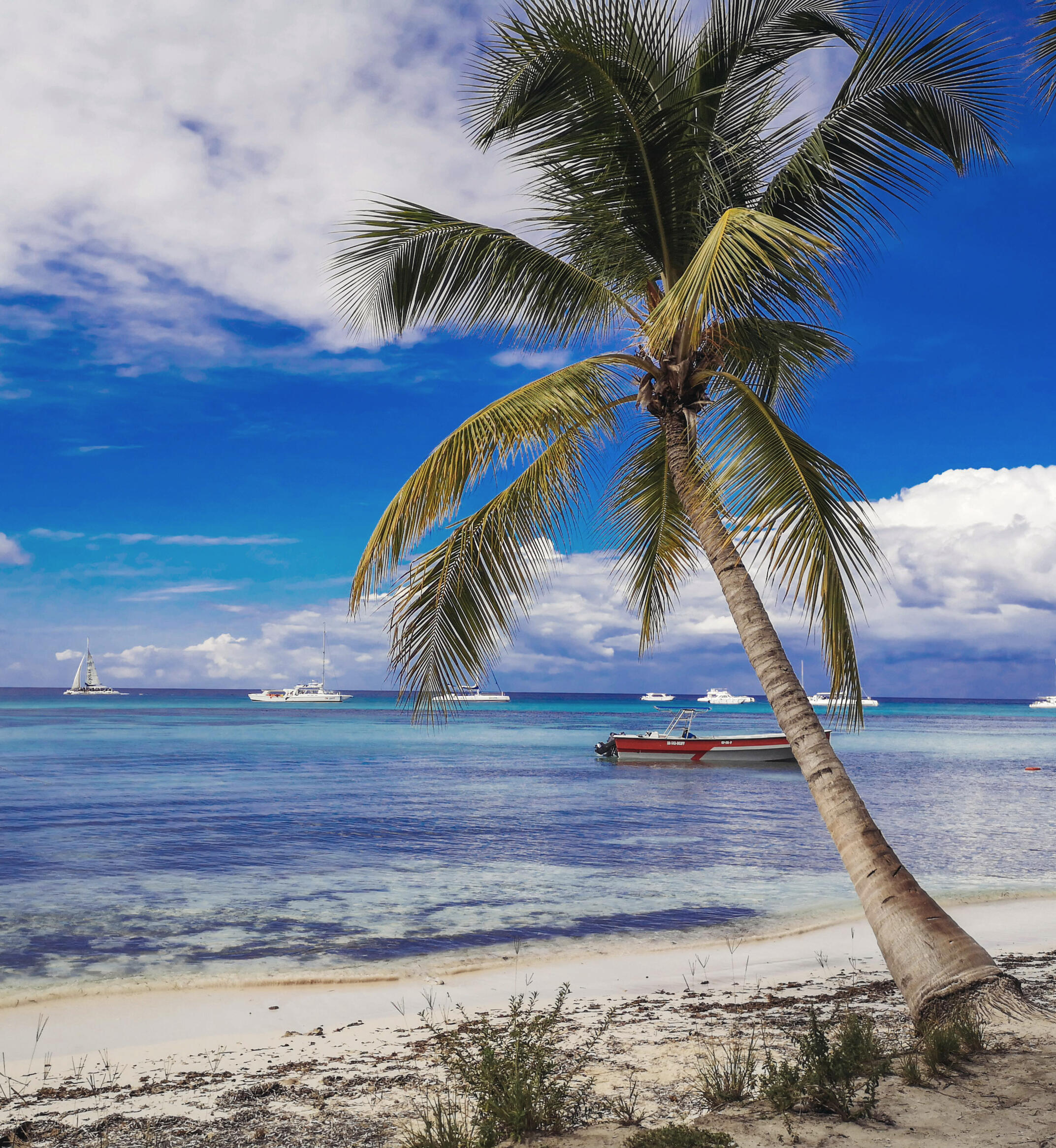 woman relaxing eyes closed in water